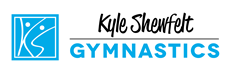 Kyle Shewfelt Gymnastics