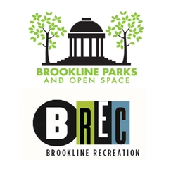 Brookline RPOS Cost Recovery 2019