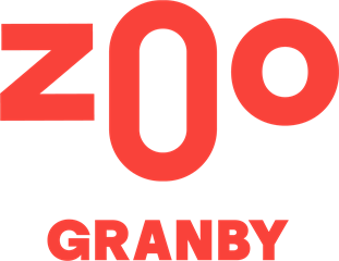 Camp de jour du Zoo de Granby