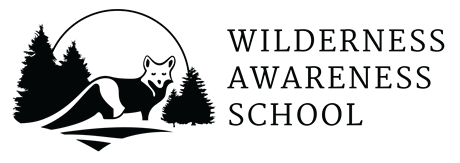 Wilderness Awareness School