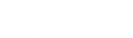 The Exceptional Foundation