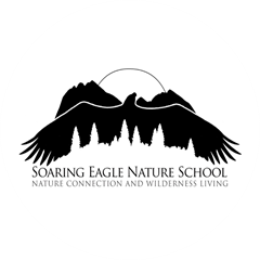 Soaring Eagle Nature School