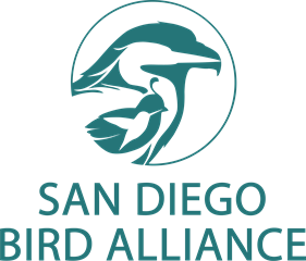 San Diego Bird Alliance