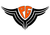 Pegasus Gymnastics