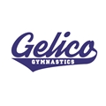 Gelico Gymnastics Swift Current
