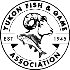 Yukon Fish & Game Association