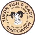 Yukon Fish & Game Association