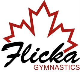 Flicka Gymnastics
